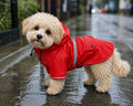 Waterproof Dog Raincoat