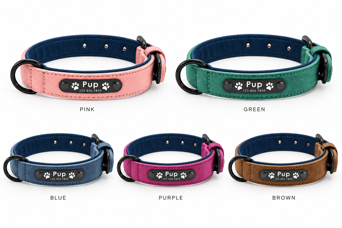 Customisable Dog/Cat Collar Name ID tags